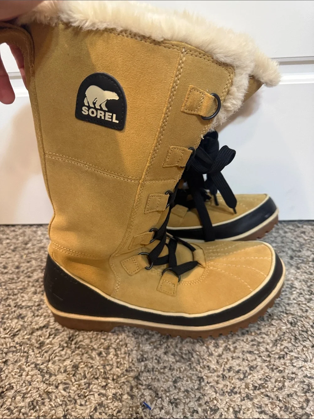 SOREL Womens Curry Leather Tivoli IV Waterproof Tall Snow Boot  Size 9